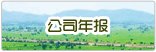 公司年報(bào)